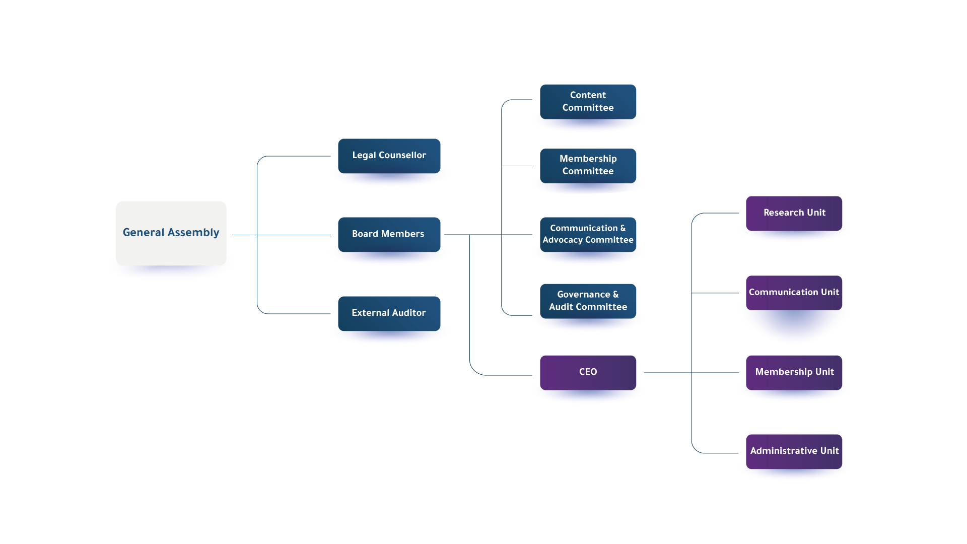 Organizational Structure